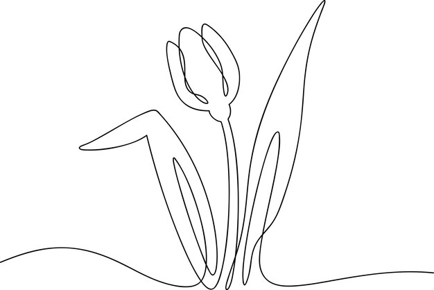 tulip vector illustration in one line style black outline sketch