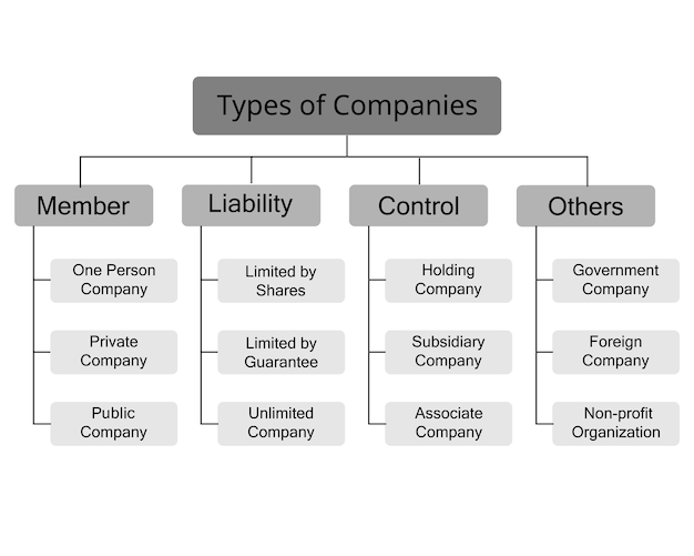 Types of companies or Business Structures divided by members control liability and others