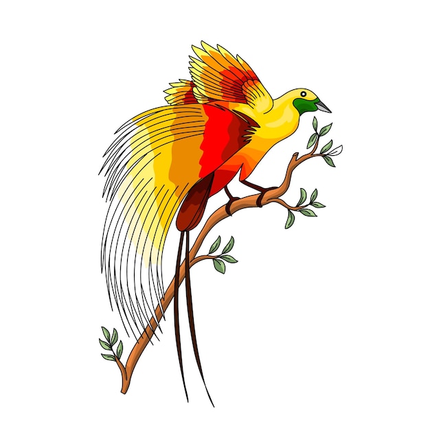 vector bird of paradise perched on a tree branch