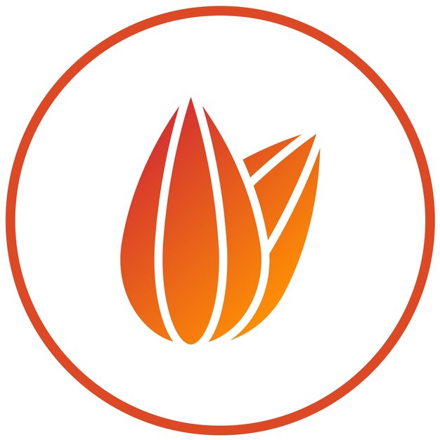 Vector Design Almond Allure Icon Style