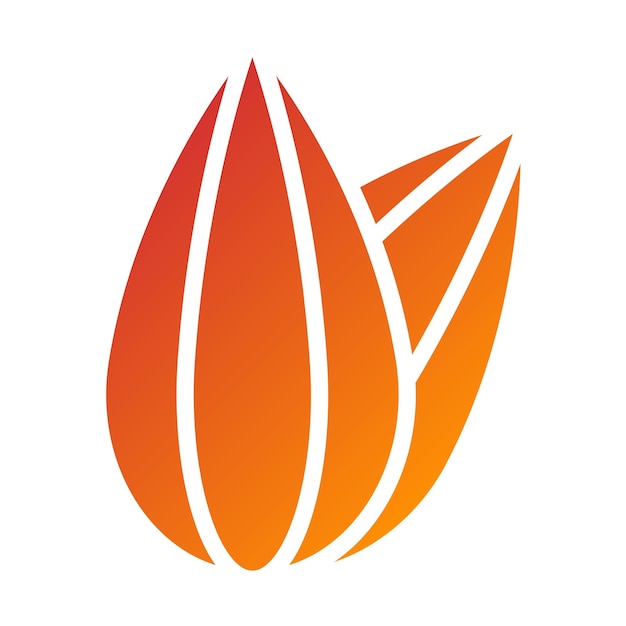 Vector Design Almond Allure Icon Style