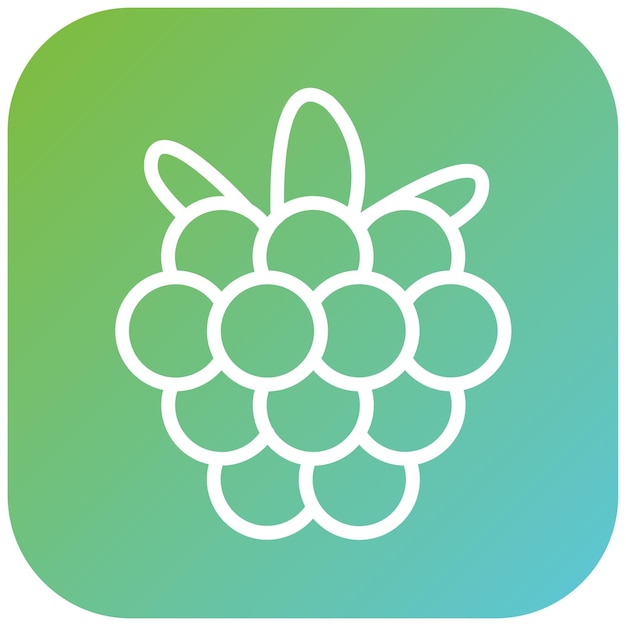 vector design raspberry rhapsody icon style