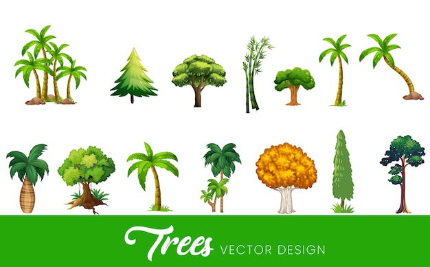 vector detailed illustration of green trees and leaves