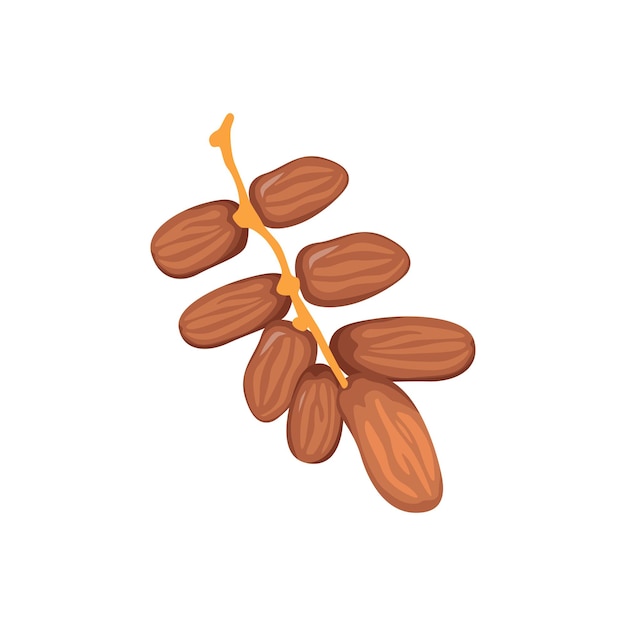 Vector Illustration of Dates Fruit for Ramadan