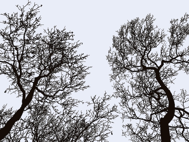 Vector image of silhouettes of deciduous trees in winter nature background