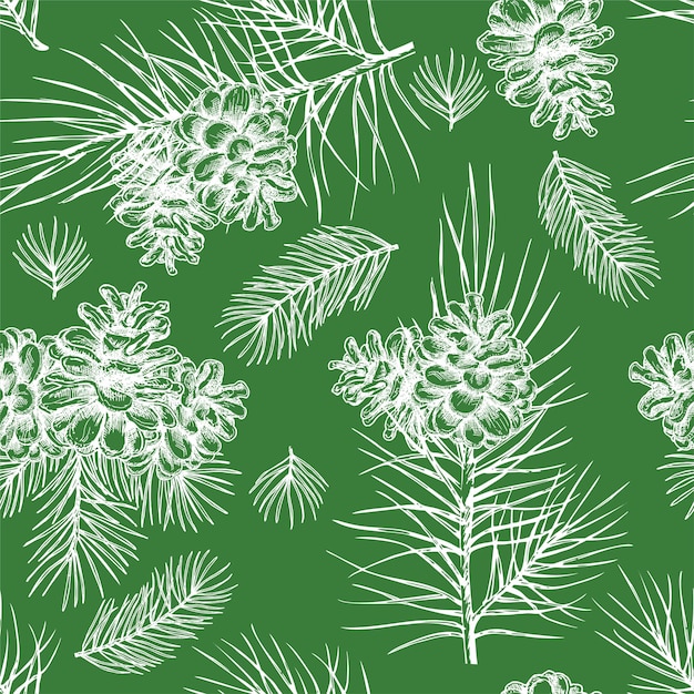 Vector Pine Cone seamless pattern Hand drawing sketch illustration Botanical illustration pine cone