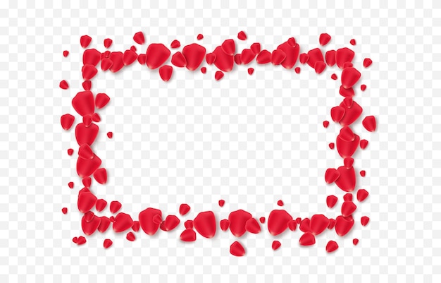 vector rose petals png frame made of petals on an isolated transparent background red petals