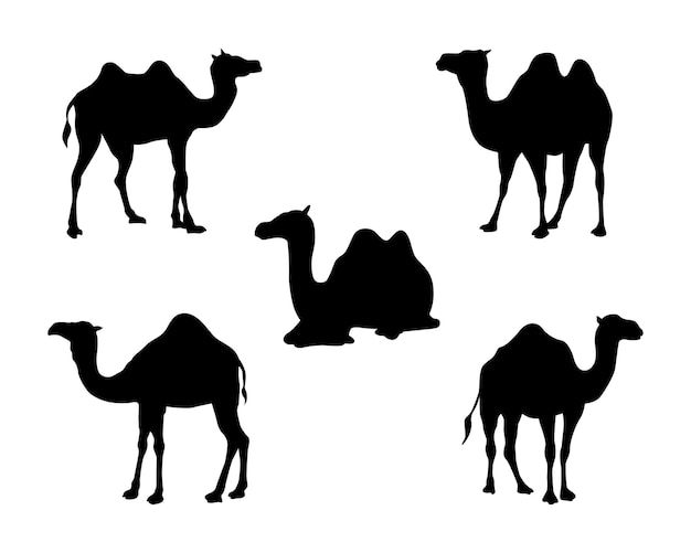 vector set of camels silhouette