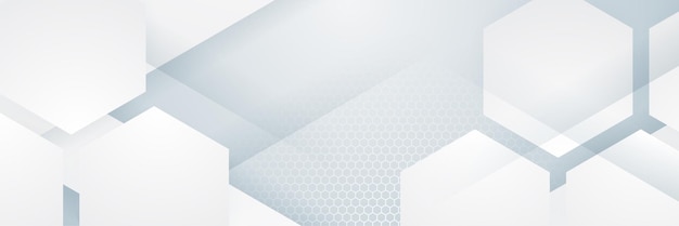 White abstract banner Modern elegant white gray banner with creative design and shiny lines Minimal vector stripes design Simple texture graphic element Vector abstract pattern background template