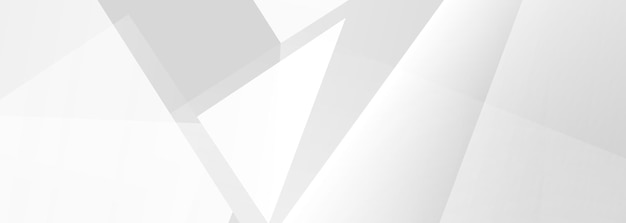 white and grey 3d modern abstract background with polygonal texture soft gray wide geometric