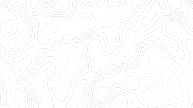 White lines on a white background