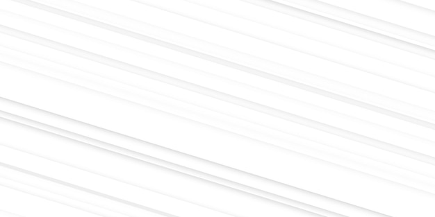 white wall with the white panels