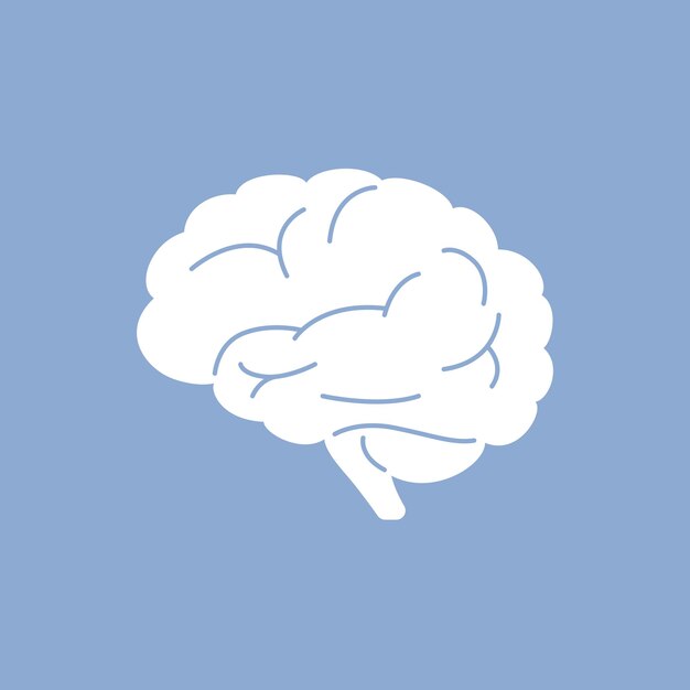 Whitecolored human brain vector illustration