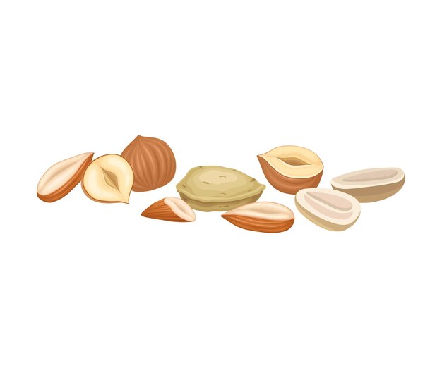 whole and cracked nuts food for good brain function isolated on white background vector illustration