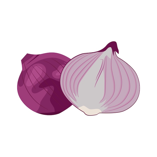 Whole and half red onions isolated on white background Vector cartoon illustration