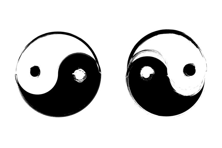 Vector yin and yang glyph symbol symbol of yinyang vector illustration isolated background yin yang icon