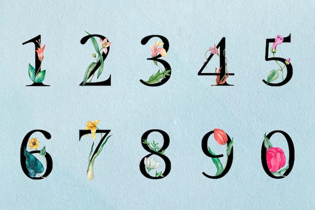 123 colección de números tipografía botánica vintage