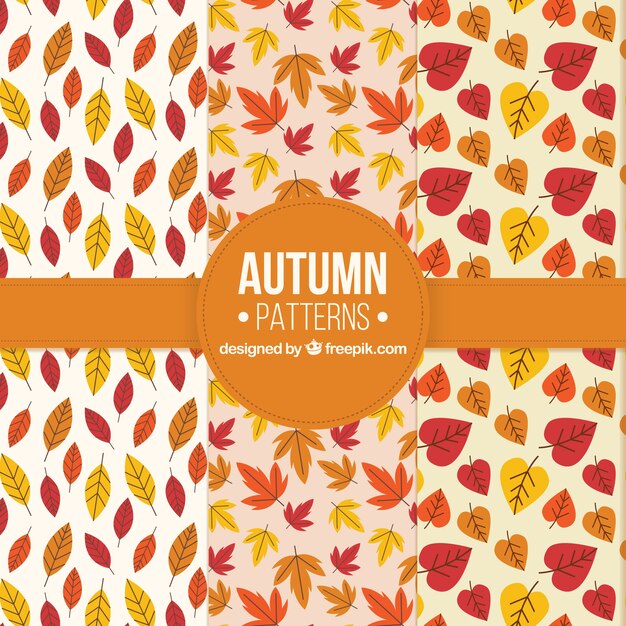 3 patrones, otoño
