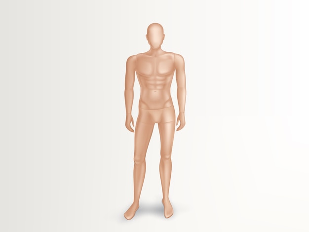 3d ilustración del maniquí masculino, cuerpo completo desnudo del hombre.