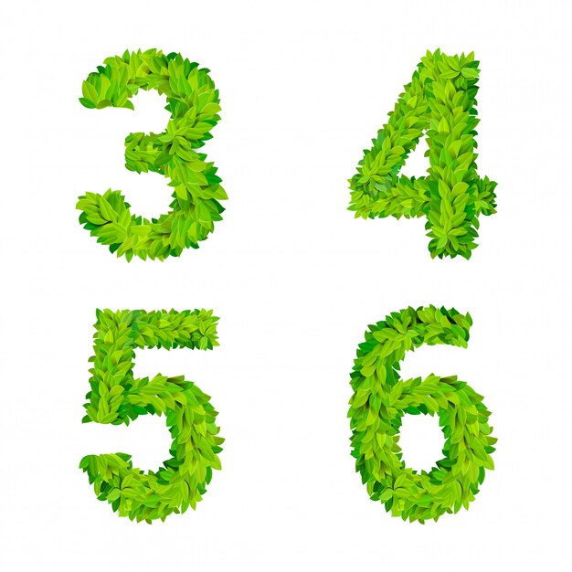 ABC grass deja elementos de número de letra cartel de naturaleza moderna letras frondosas conjunto foliar de hoja caduca. 3 4 5 6 hojas con hojas foliadas letras naturales colección de fuentes del alfabeto latino inglés.
