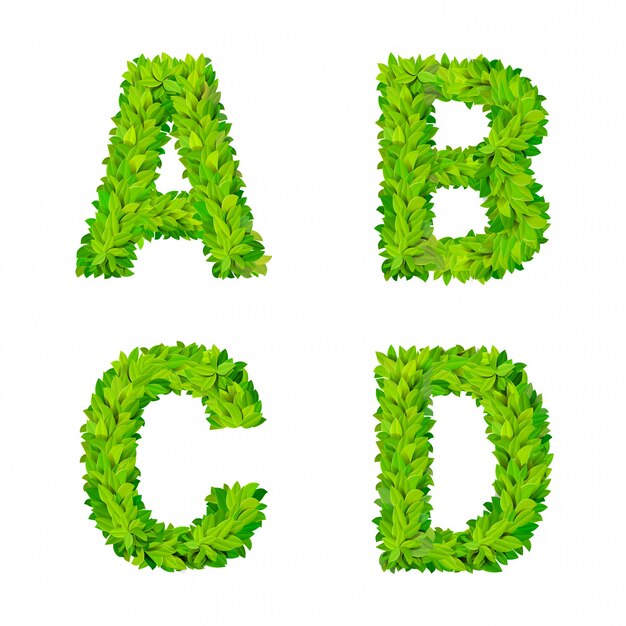 ABC grass deja elementos de número de letra cartel de naturaleza moderna letras frondosas conjunto foliar de hoja caduca. ABCD leaf leafed foliado letras naturales colección de fuentes del alfabeto latino inglés.