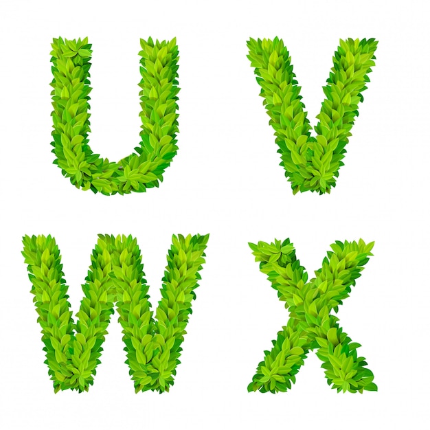 ABC grass deja elementos de número de letra cartel de naturaleza moderna letras frondosas conjunto foliar de hoja caduca. Hoja UVWX hojeada letras naturales foliadas colección de fuentes del alfabeto latino inglés.