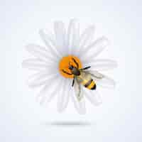 Vector gratuito abeja con flor