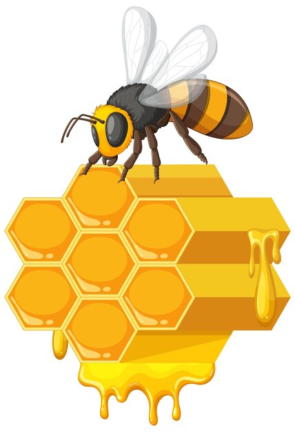 La abeja en el panal con la miel que gotea