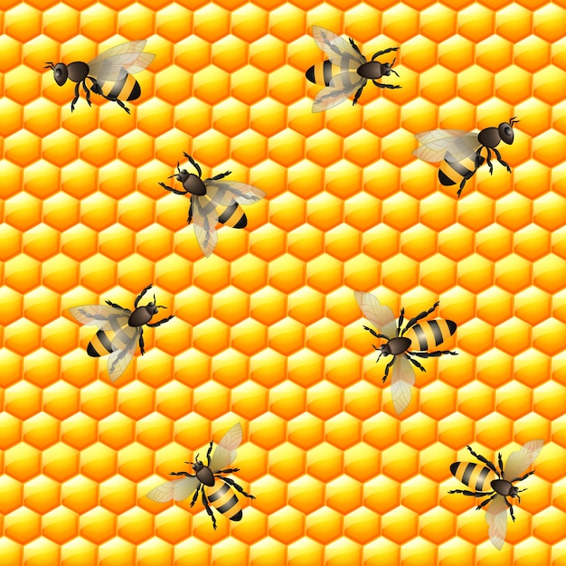 Vector gratuito abejas sobre un panal