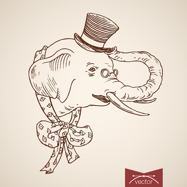 Vector gratuito accesorios de ropa de cabeza de elefante de animal salvaje en lazo de sombrero de cilindro con lazo de lunares.