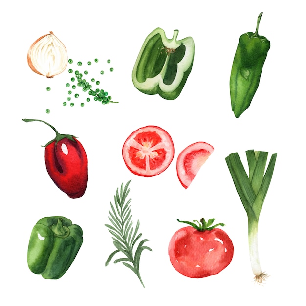 Vector gratuito acuarela de diseño de elementos vegetales