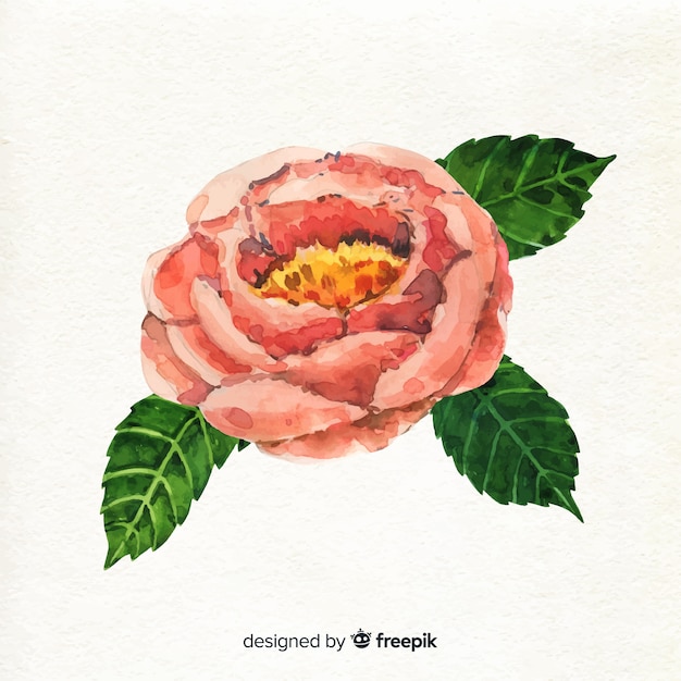 Acuarela flor coral con hojas sobre fondo blanco.