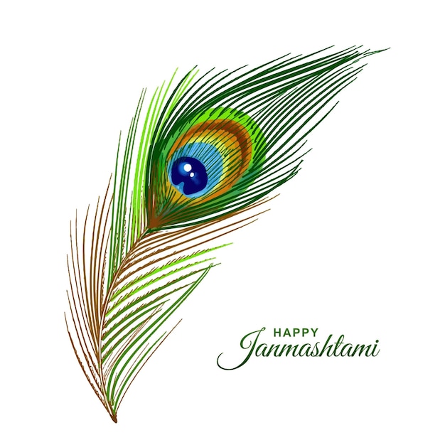 Acuarela de plumas de pavo real realista en diseño de tarjeta feliz janmashtami