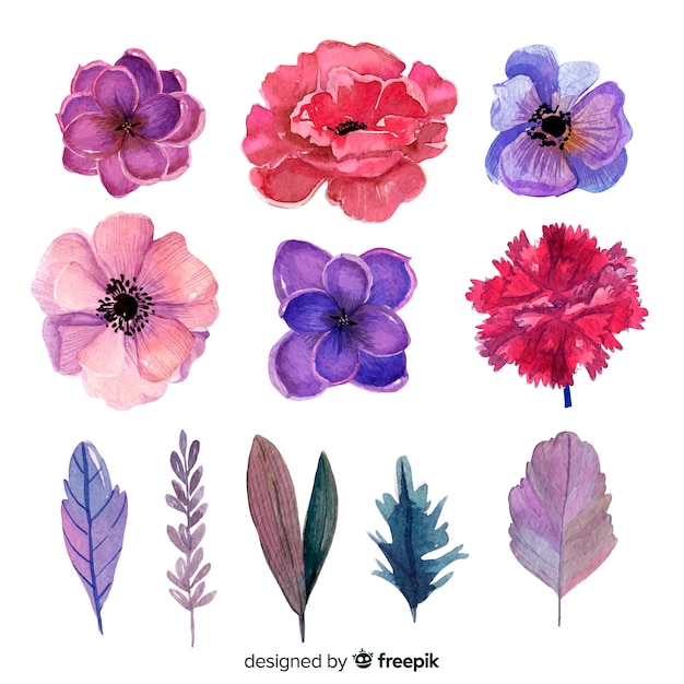 Vector gratuito acuarelas flores y hojas con colores intensos