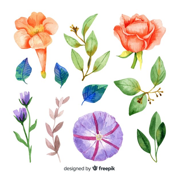 Acuarelas flores y hojas con colores pálidos