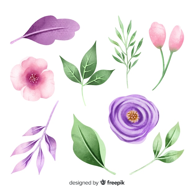 Vector gratuito acuarelas flores y hojas