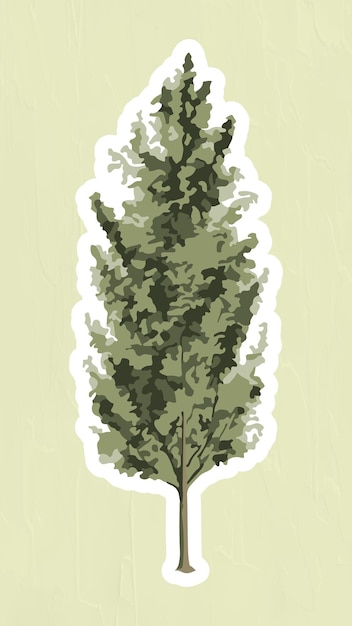 Vector gratuito adhesivo de árbol de abeto vectorizado superpuesto con un borde blanco sobre un fondo verde salvia