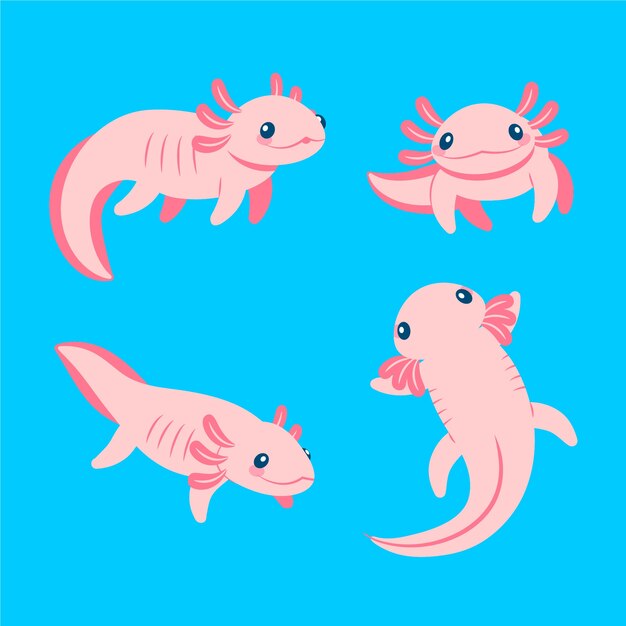 Adorable colección de ajolote marino