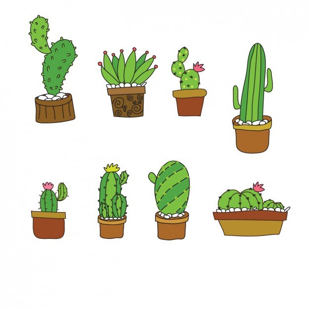 Adorable colección de cactús en diseño plano