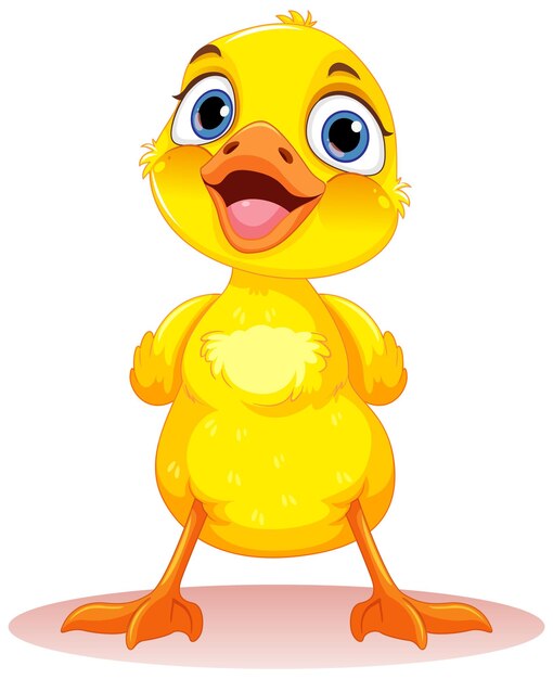 Adorable patito aislado