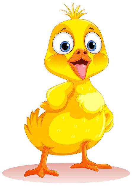 Adorable patito aislado