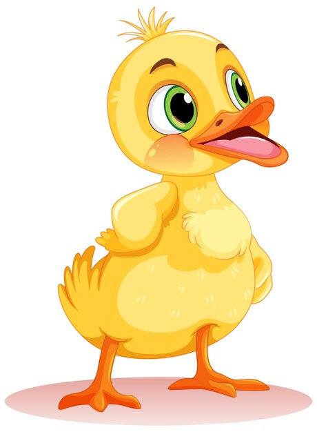 El adorable pato pequeño aislado