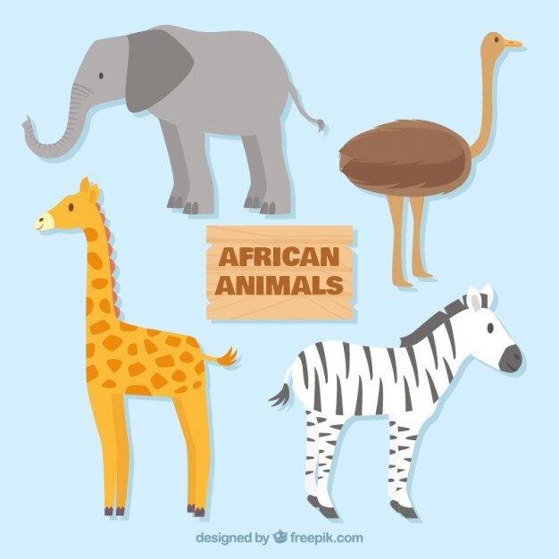 Adorables animales africanos dibujados a mano
