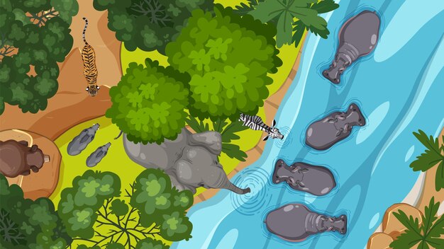aerial view of african wildlife scene