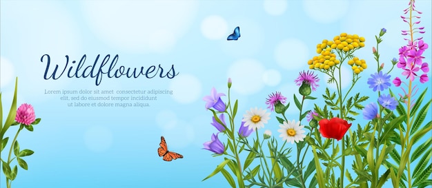 Vector gratuito afiche de flores silvestres realista con flores de colores con mariposas voladoras en la ilustración de vector de fondo de cielo azul