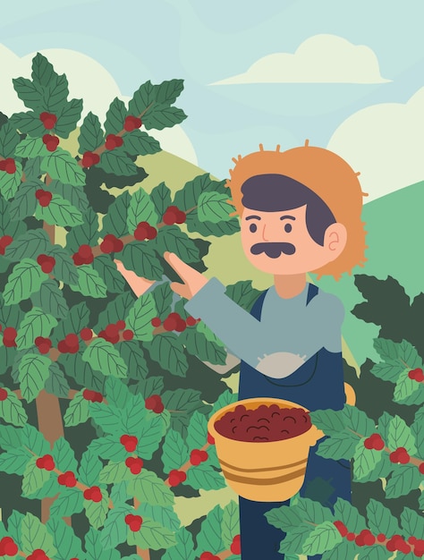 el agricultor recoge la cosecha de café, el diseño