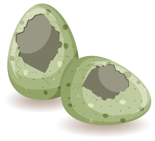 Agrietamiento de huevos sobre fondo blanco.