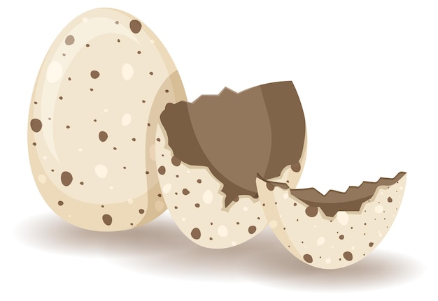Agrietamiento de huevos sobre fondo blanco.