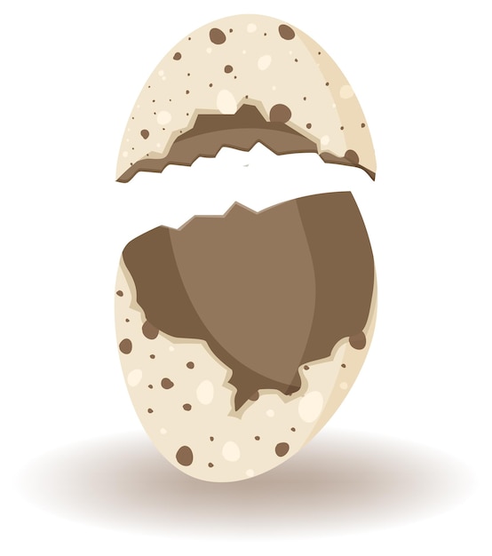 Vector gratuito agrietamiento de huevos sobre fondo blanco.