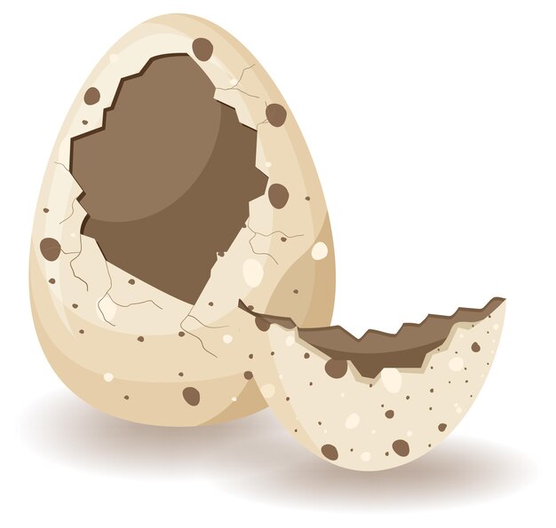 Agrietamiento de huevos sobre fondo blanco.